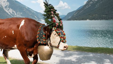 NECTRAVELDEALS-Tirol-Brauchtum