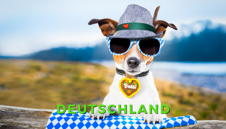 NECTRAVELDEALS Urlaub mit Hund in Deutschland