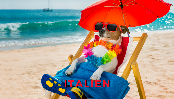 NECTRAVELDEALS Urlaub mit Hund in Italien